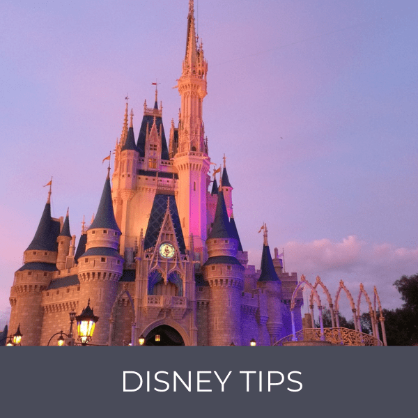 Image of Cinderella's Castle with the text "Disney Tips" written below.